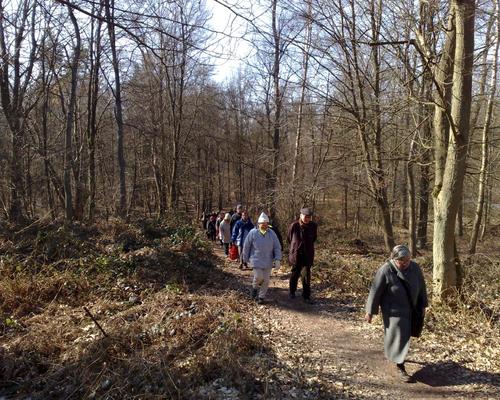 marche a Bruille St Amand (6)