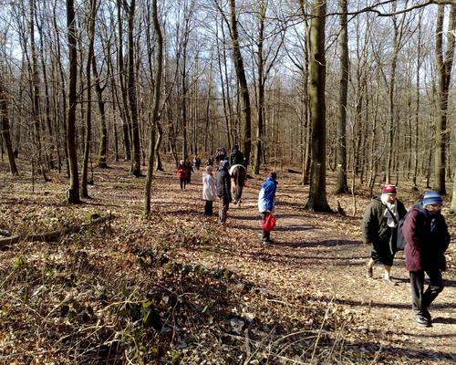 marche a Bruille St Amand (7)