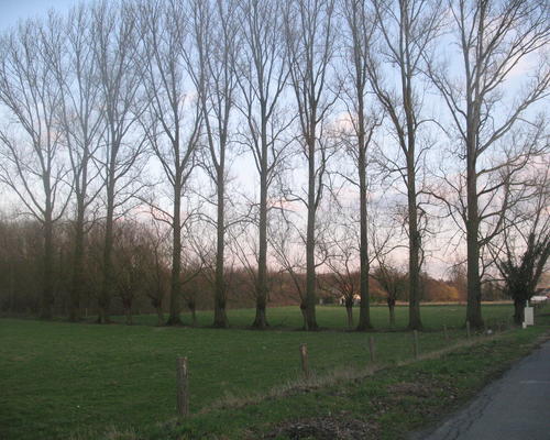Bruille Saint-Amand
