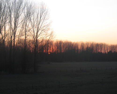 Bruille Saint-Amand