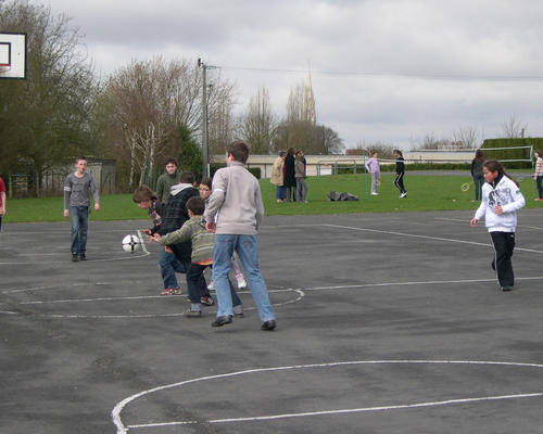 basket-6