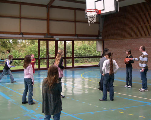 basket-12