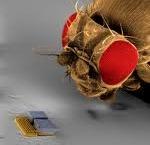 nanotechnologie 2