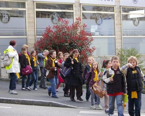 vers les buissonnnets
