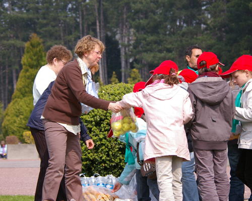 distribution