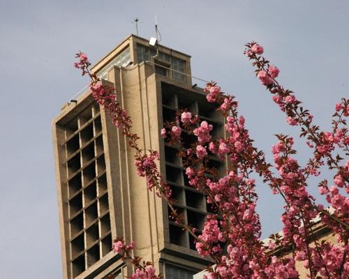 Photo 018