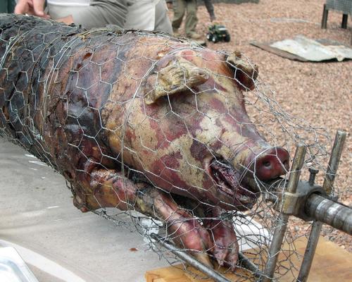 Banteux2487 cochon