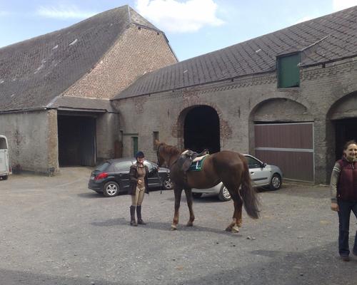 HON (17) La louviere