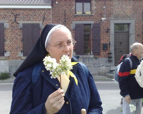 HON (8) lilas