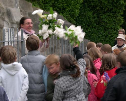 2501 Fleurs