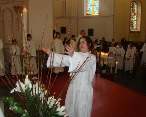 DSC06150