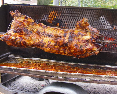 cochon