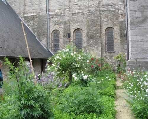 Jardin du cloître, collégiale St Vincent