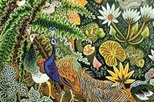 foi-biodiversite-vues-conference-eveques-fran-L-1
