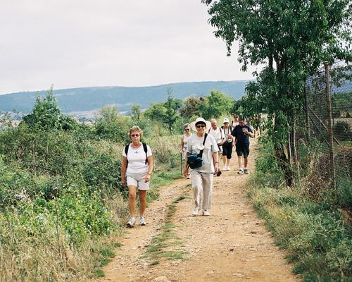 Sur le chemin