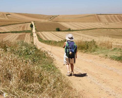 Marche ou crève!