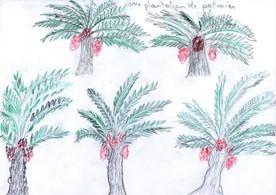 2010_dessin13_r