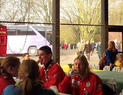 scouts