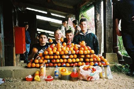 Pressage des oranges !