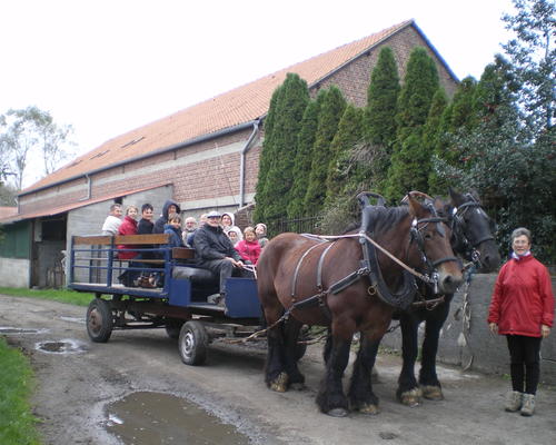 ballade en calèche à Escaupont
