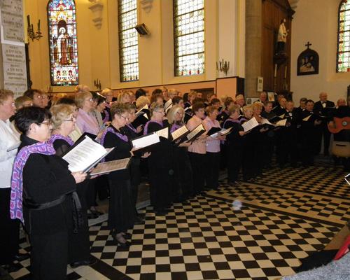 IMGP1461