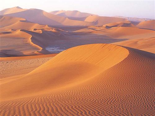 desert-sable