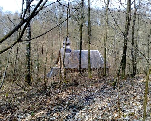 rando liesies mars 2011 (13).jpg