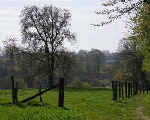 paysage