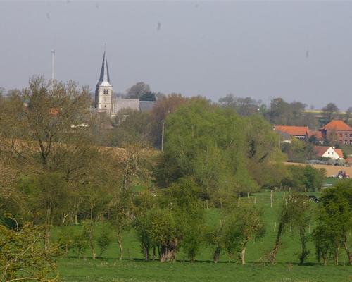IMGP6949