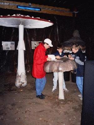 les grands champignons de la maison de la forêt !!