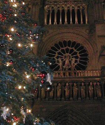 Notre Dame by night