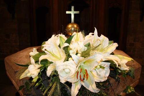 1104_IMG_7617.JPG