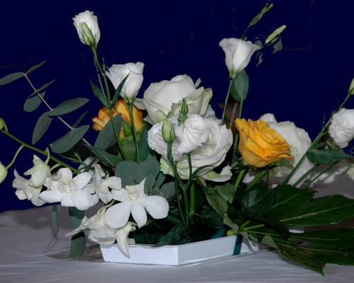 DSC_2488 A.jpg