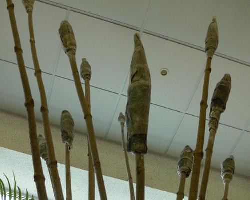 P1050324.JPG