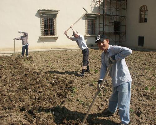 jardin2