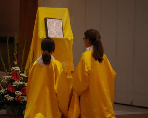 IMGP0130.JPG
