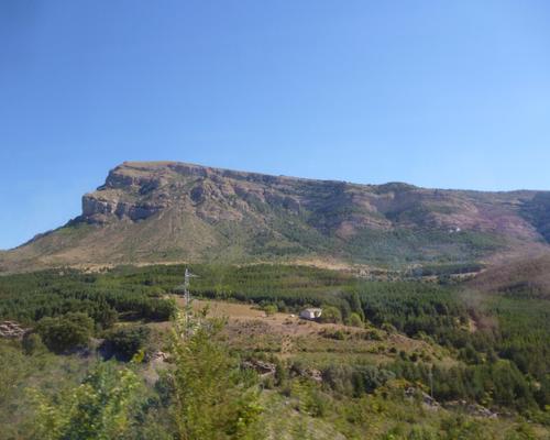 P1000910.JPG