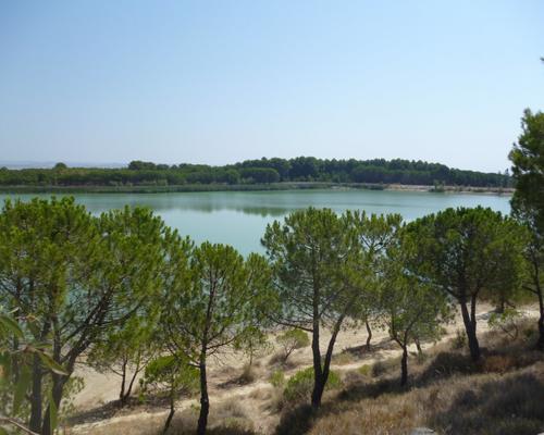 P1000996.JPG