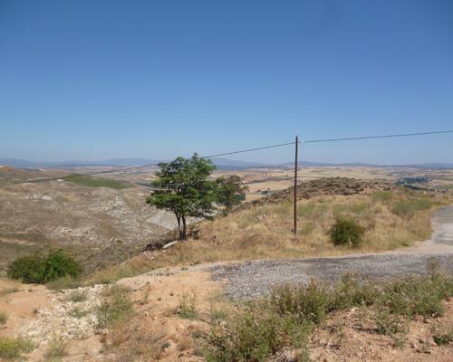P1010237.JPG