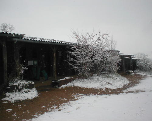 un jour de neige