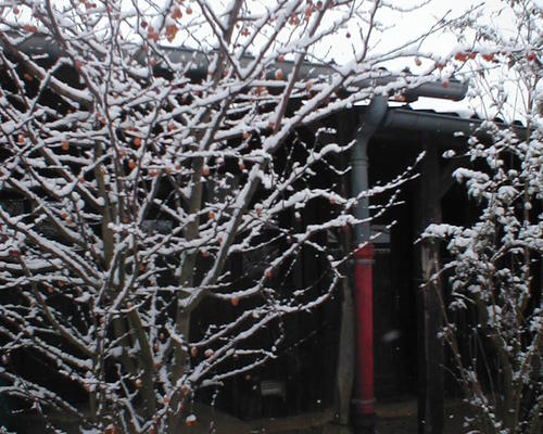 Neige + gel = froid mais beau