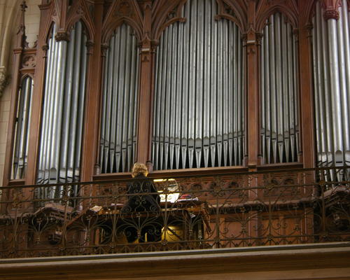 IMGP0953