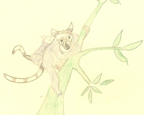 dessin2Madagascar.jpg