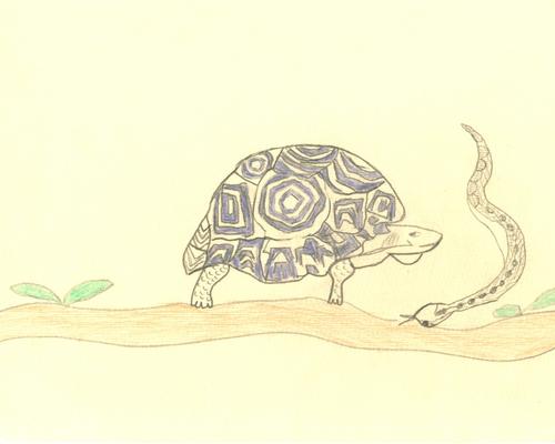 dessin3Madagascar.jpg