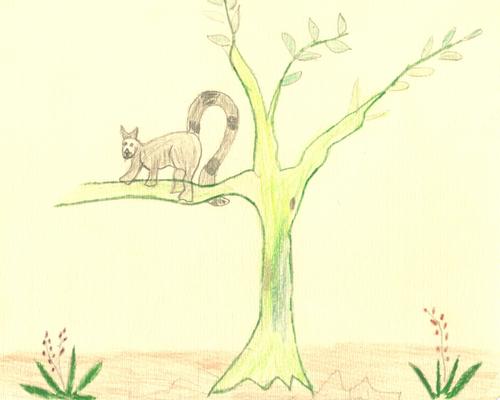 dessin4Madagascar.jpg