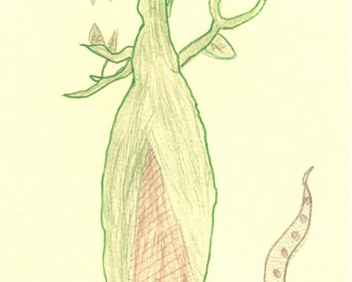 dessin5Madagascar.jpg