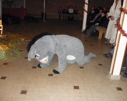 36.JPG