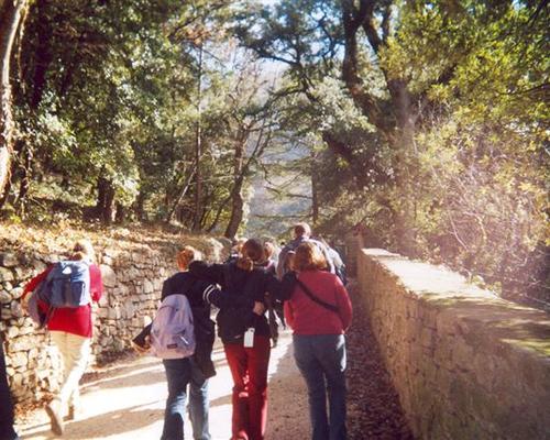 Près de 35000 éleves
