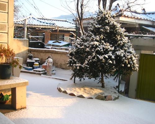 Daejeon souslaneige bis.jpg