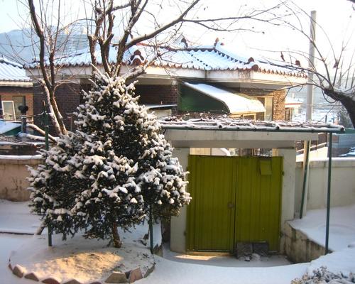 Daejeon souslaneige.jpg